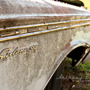 Ab3_4501-fairlane-10_web_card