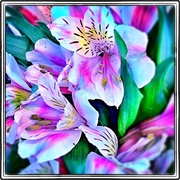 Flower9_card