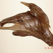 Pre-historic_card