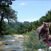 826-asiaticcreekside_card