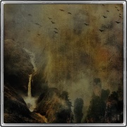 Falls_card