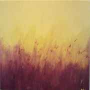 Lavender_fields_card