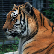 Img_8923f_card