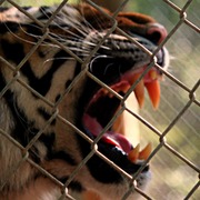 Img_9216a_card