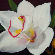 Dsc00958_card