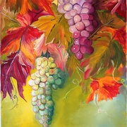 Picture_012grapes_card