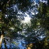 Dscf6041_thumb