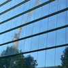P1000538_thumb