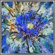 Vanflower_snapseed_card