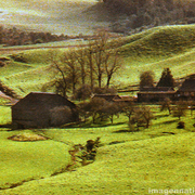 Frutillar_sector_quebrada_copia_card