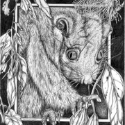 Midnight_feast_i_card
