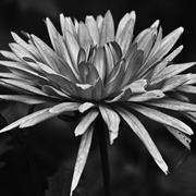 Img_9276b_card