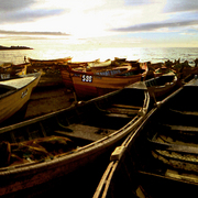 Botes_en_caleta_portales_1988_b_card