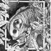 Midnight_feast_ii_card