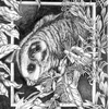 Midnight_feast_ii_thumb