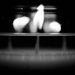 B_w_glowing_candle_square