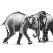 Img_0351_card