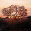 Sunrise_tree_thumb