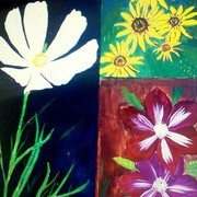Img_20120607_201850_card
