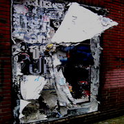 Bild339_card