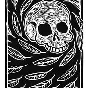 Skull_and_feathers_krauzyk©2008_card