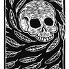 Skull_and_feathers_krauzyk©2008_thumb