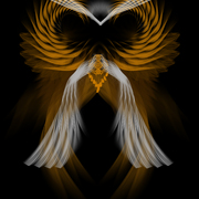 Owl_soul_card