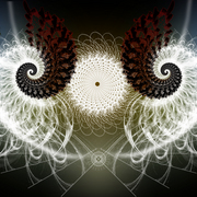 Take_2_card