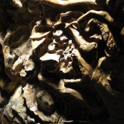 Dscn3555_card