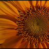 13926_thumb