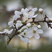20080505_2704_card