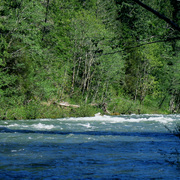 Rivers_bend_card