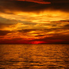 13781_thumb