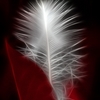 Neon_red_feather_thumb