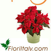 Fioriitaly_m_card