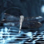 Mystical_dragonfly_card