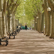 Promenade_des_barques_card