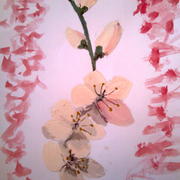 K_p0375_card