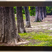 Dsc00007_card