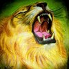 Arvind_thumb