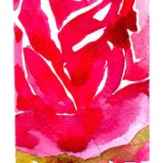 Img029_card