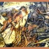 Glorious_jungle_thumb