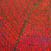 Leaf_oil_card