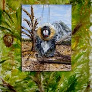 Mandrill_im_k_fig_card