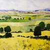 574-napa_yellow2_thumb