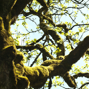 _5167173_card