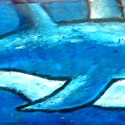 Delfin2_002_card