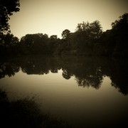 Pond_in_sepia_spotlight_card