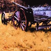 Arrowtown_wagon_card