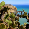 100_7663_thumb